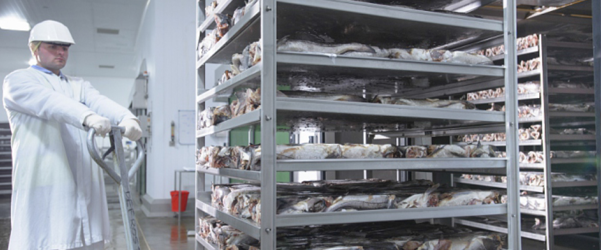 禽肉水产行业